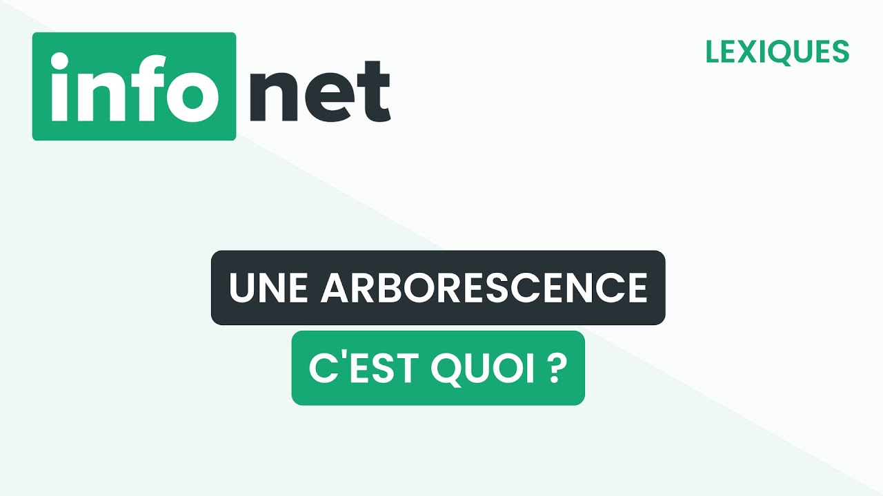Une arborescence, c'est quoi ? (définition, aide, lexique, tuto, explication)
