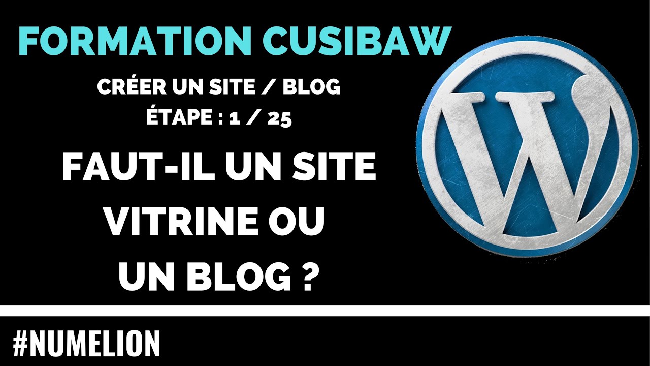 Quel type de site créer ? Vitrine ou Blog ? #Formation 1/25